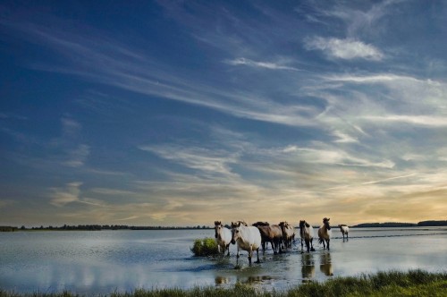 Autopuzzeltocht Van Lauwers tot Wad,  Lauwersmeer