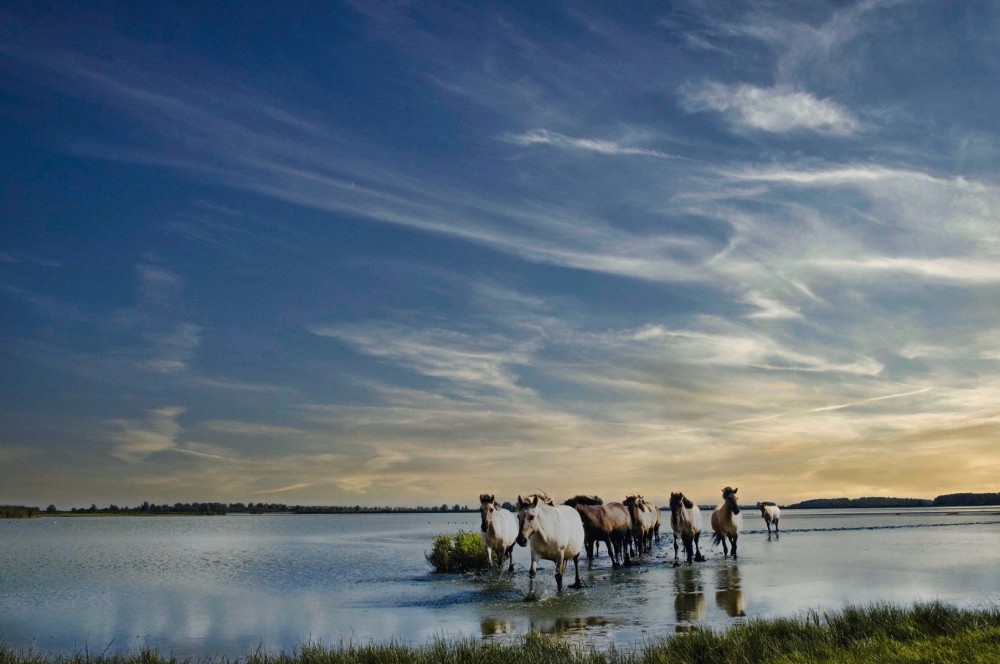 Autopuzzeltocht Van Lauwers tot Wad,  Lauwersmeer
