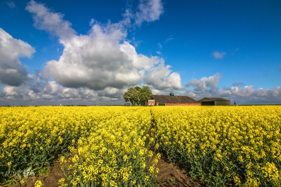 Dagarrangement in de Graanrepubliek, Oldambt
