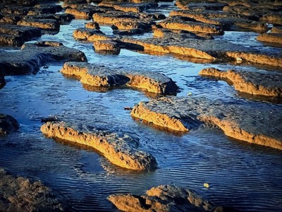 Informatie over 5 UNESCO-spots