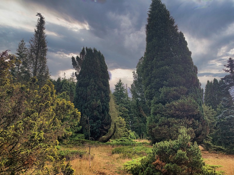 4-daagse UNESCO-reis Drenthe