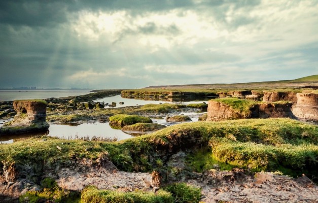 3-daagse UNESCO-Waddenexpeditie- Dollard en Graanrepubliek