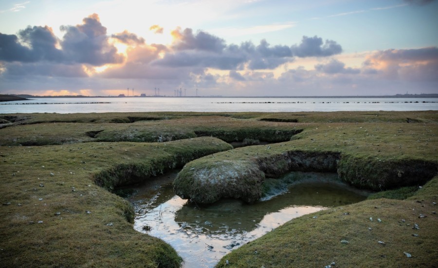 Driedaags UNESCO-arrangement Waddenregio Groningen