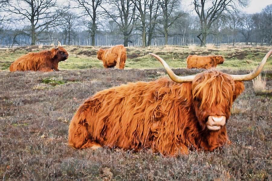 Weekendje weg in Westerwolde, Zuid-Oost-Groningen