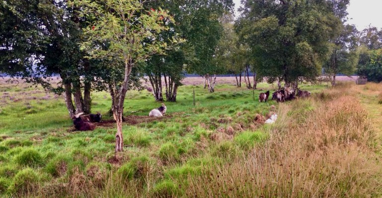 Weekendje weg in Westerkwartier, Zuid-West-Groningen