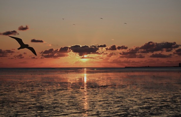 4-daags Avontuur: ontdek Groningen: ter Land, ter Zee en in de Lucht