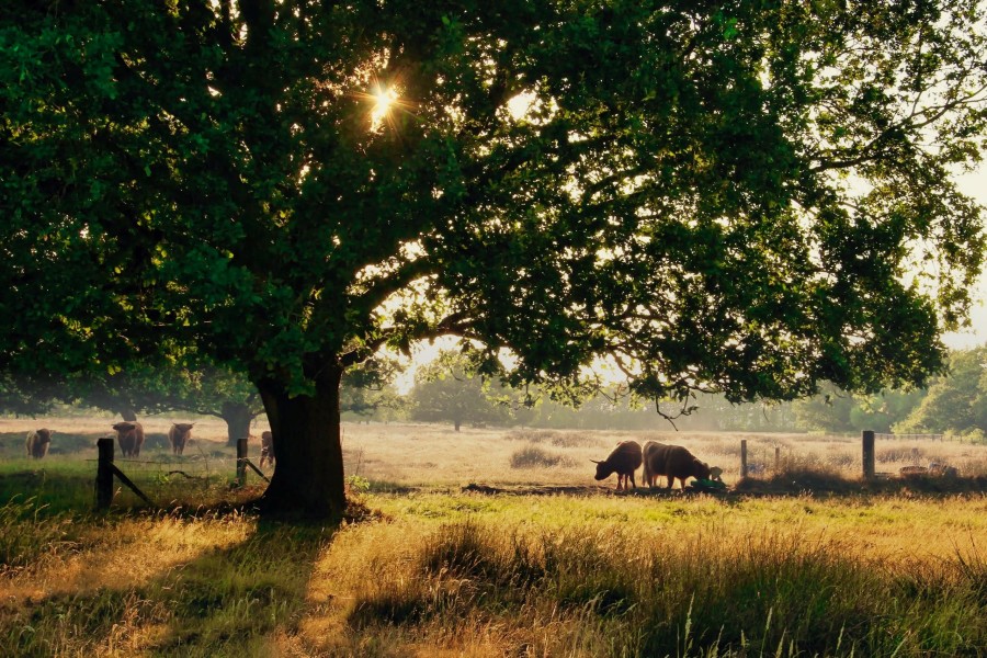 Driedaagse roadtrip door Drenthe